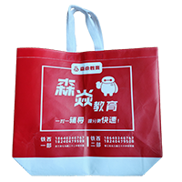 石家庄LB37培训班广告袋